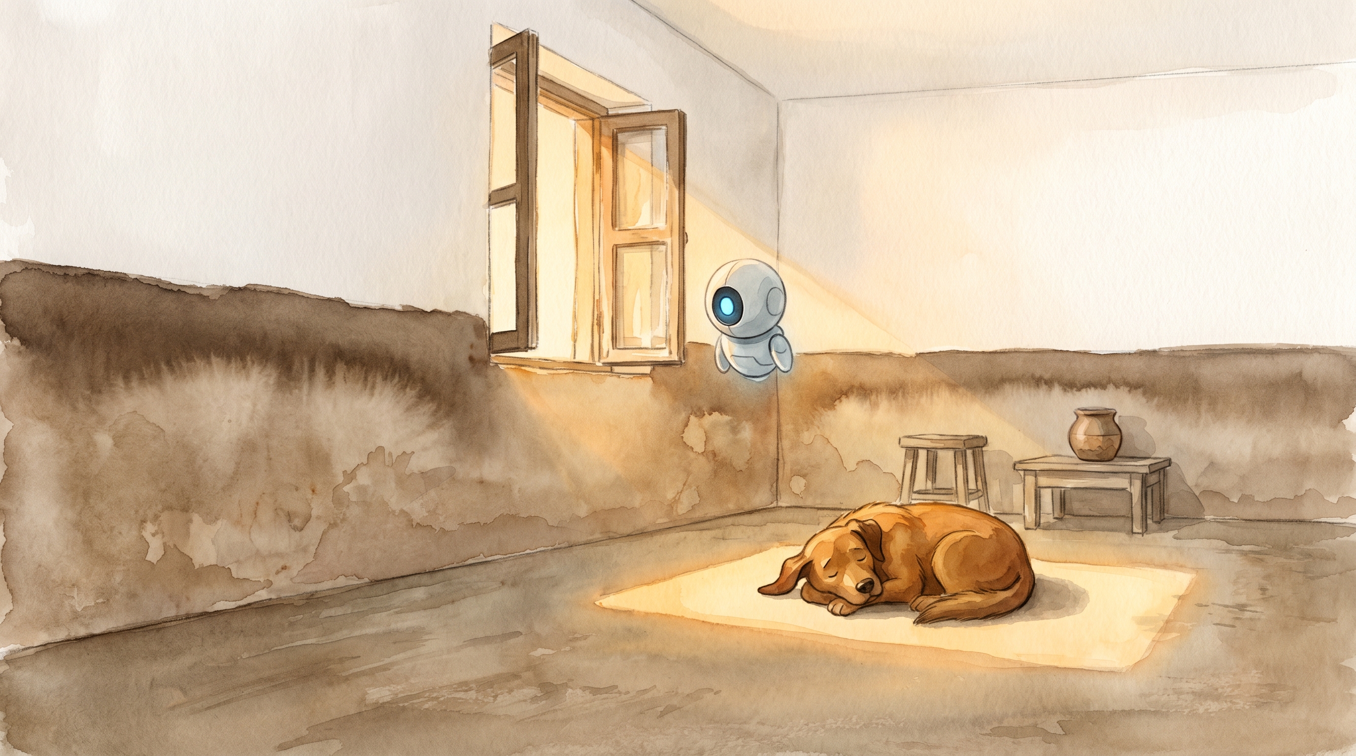 The inside of Mrs. Kamala's house with a waist-high brown watermark line along the wall, old dog Bondi asleep in a patch of sun